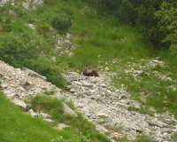 auf dem Lakaeiensteig