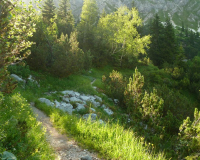 auf dem Lakaeiensteig