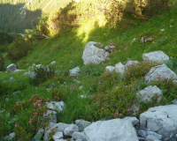auf dem Lakaeiensteig