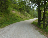 bei der Auhütte