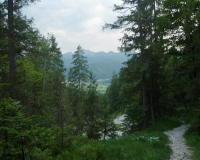 bei der Auhütte
