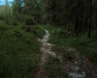 bei der Auhütte
