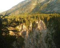 Frühmorgens