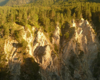 Frühmorgens