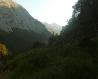 Frühmorgens