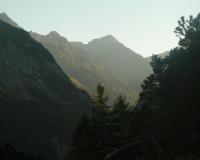 Frühmorgens