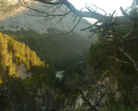 Frühmorgens