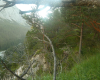 Frühmorgens