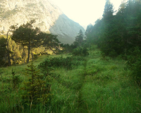 Frühmorgens