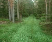 Frühmorgens