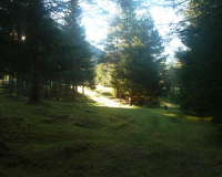 Frühmorgens