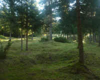 Frühmorgens