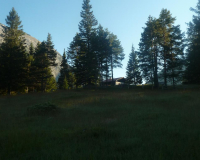 Frühmorgens