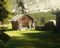 Frühmorgens