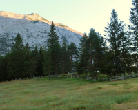 Frühmorgens