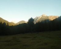 Frühmorgens