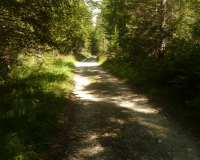 AufstiegPleisenhuette