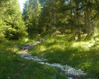 AufstiegPleisenhuette