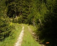 AufstiegPleisenhuette