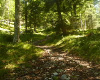 AufstiegPleisenhuette