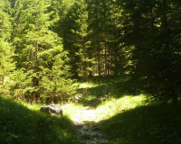 AufstiegPleisenhuette