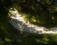 AufstiegPleisenhuette