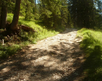 AufstiegPleisenhuette