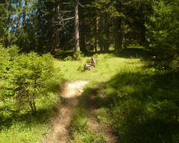 AufstiegPleisenhuette