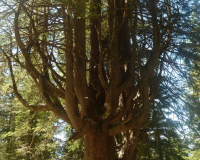 AufstiegPleisenhuette
