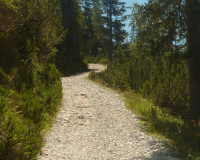 AufstiegPleisenhuette