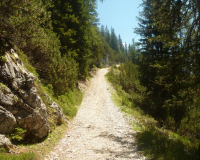AufstiegPleisenhuette