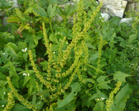 AufstiegPleisenhuette