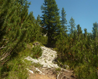 Aufstieg Pleisenspitze