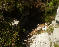 Aufstieg Pleisenspitze