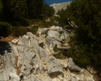 Aufstieg Pleisenspitze