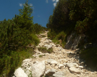 Aufstieg Pleisenspitze