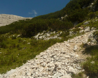 Aufstieg Pleisenspitze