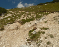 Aufstieg Pleisenspitze