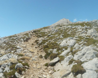 Aufstieg Pleisenspitze