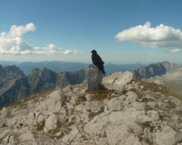 Aufstieg Pleisenspitze