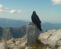 Aufstieg Pleisenspitze