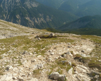 Aufstieg Pleisenspitze