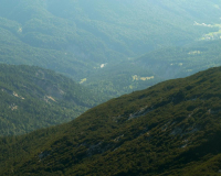 Aufstieg Pleisenspitze
