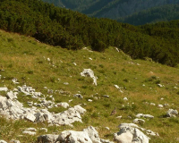 Aufstieg Pleisenspitze