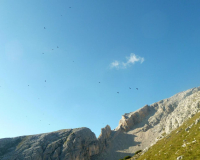 Aufstieg Pleisenspitze