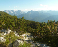 Aufstieg Pleisenspitze