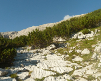 Aufstieg Pleisenspitze
