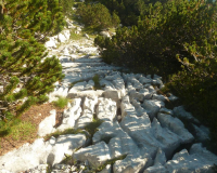 Aufstieg Pleisenspitze