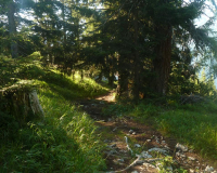 ToniGauggWeg
