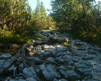 ToniGauggWeg